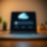 iCloud Storage Overview Visual representation of iCloud storage interface