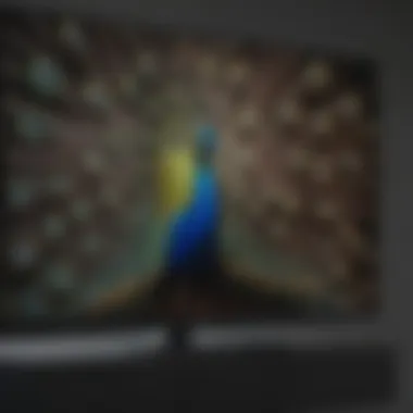 Peacock Streaming Interface on Apple TV