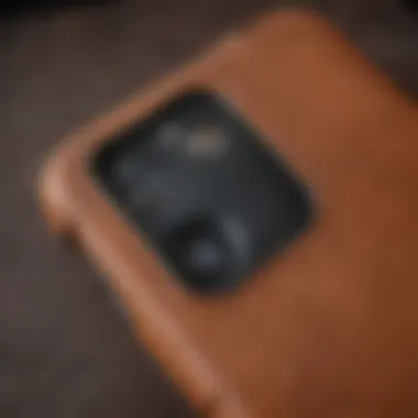 Tan Timeless Beauty Stylish Leather iPhone 11 Pro Max Case in Tan