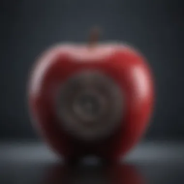 Encryption Visualization for Apple ID Protection Data Encryption Visualization