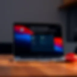 Visual representation of MacBook Pro storage management interface