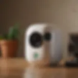 Elegant Arlo Product Comparison