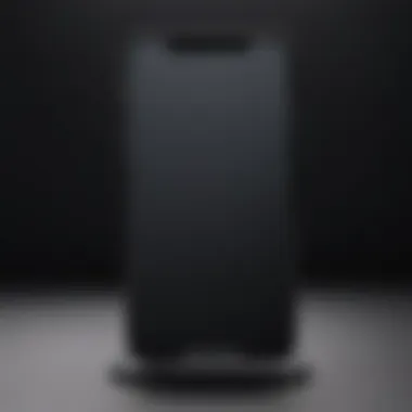 Sleek black tinted screen protector on Apple device