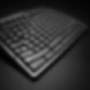 Embracing the Pinnacle of Ergonomic Design Ergonomic Design Excellence