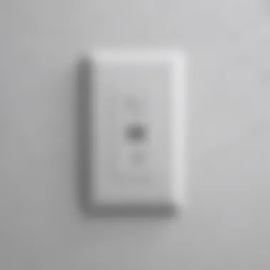 Advanced Features of Apple Home Light Switch