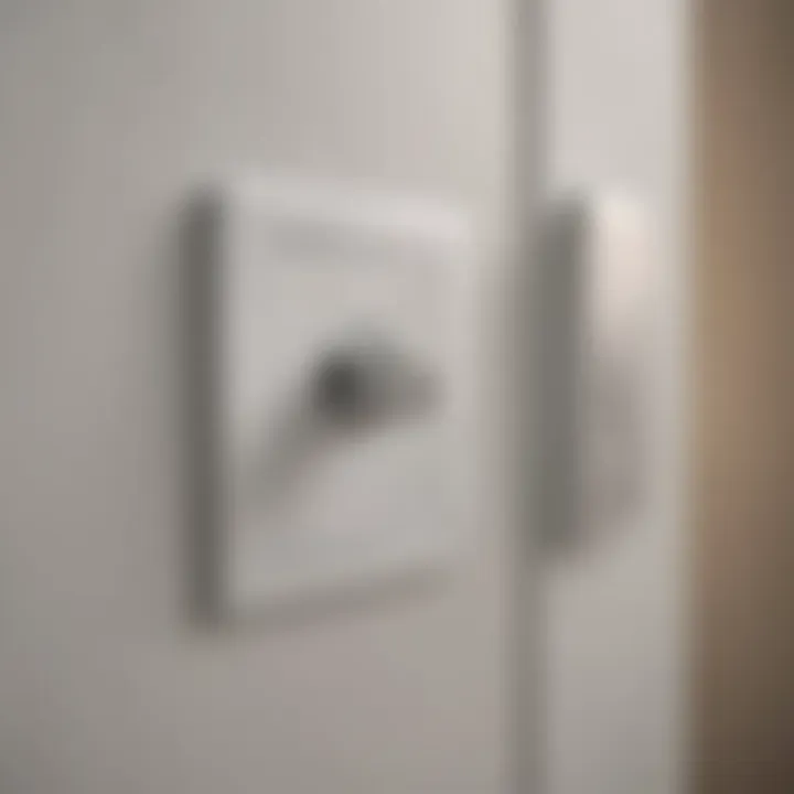 Integration Possibilities with Apple Home Light Switch