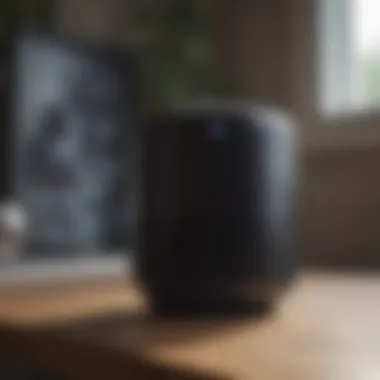 Voice-Activated Smart Speaker