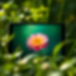 A vibrant Live Photo wallpaper showcasing nature's beauty on an Apple device