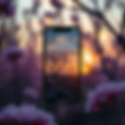 Elegant screensaver showcasing nature's beauty on iPhone 7 Plus