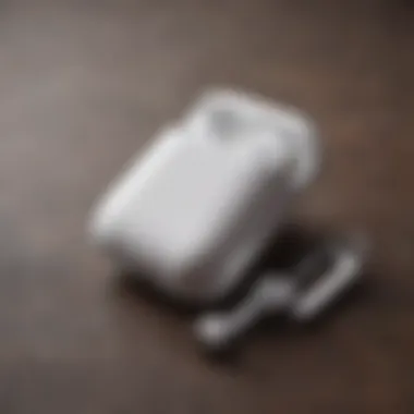 Variety of AirPod Cases with Unique Designs Variety of AirPod cases with unique designs