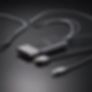 Future projections graphic for Apple's USB-C integration across devices