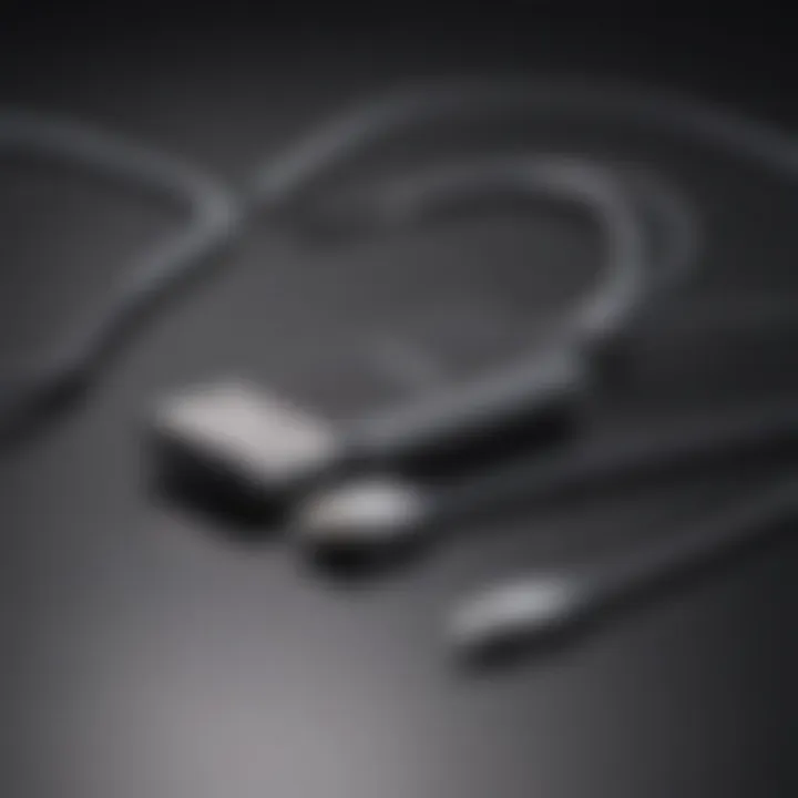 Future projections graphic for Apple's USB-C integration across devices