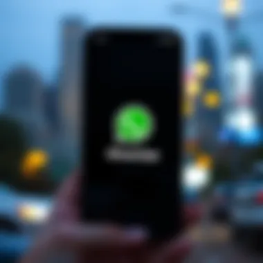 Exploring WhatsApp on iOS: Features, Updates, and Tips Summary