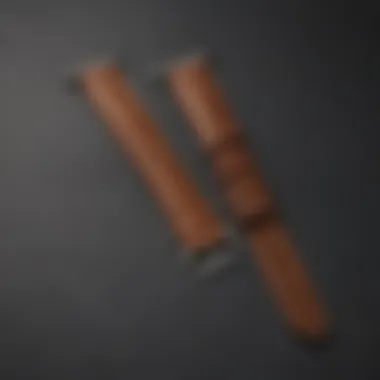 Rich Brown Leather Hermes Apple Watch Strap Exquisite Hermes Apple Watch Strap with Rich Brown Leather