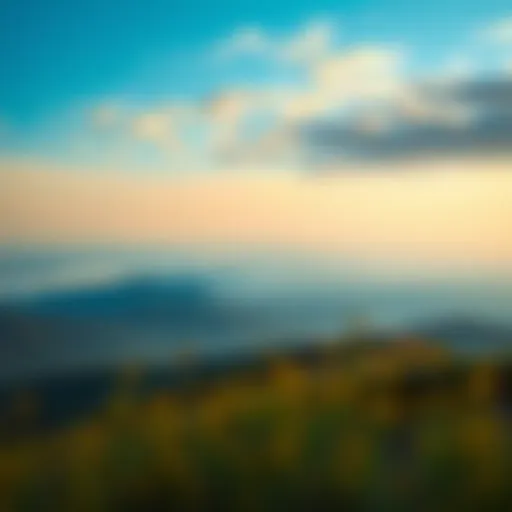 Dynamic wallpaper showcasing a serene landscape