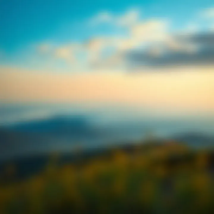 Dynamic wallpaper showcasing a serene landscape