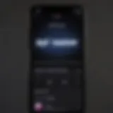 Apple Music interface showcasing repeat option
