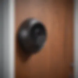 Innovative Nest Camera design for front door security