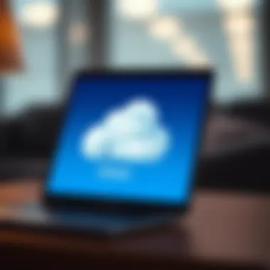 Navigating through iCloud for backups