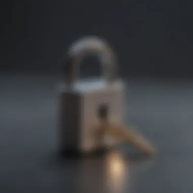 Symbolic Protection for Apple ID Lock and Key Symbolism
