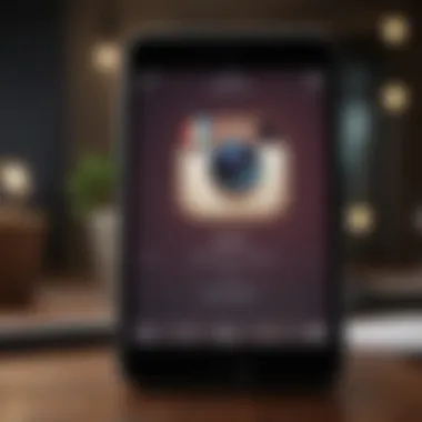A user interface showcasing the Instagram verification application form