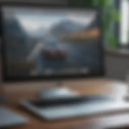 User interface of Quicken on MacBook Air