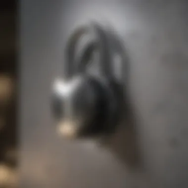 Privacy Breach Lock Privacy Breach Lock