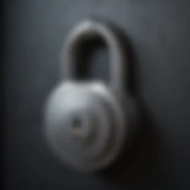 Secure Lock Icon for Photos