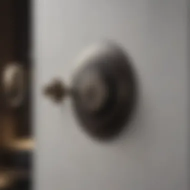 Device Lock Security Lock and key icon