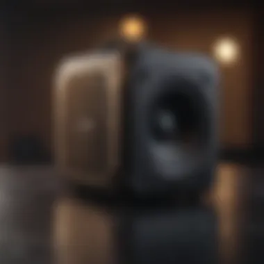 Sleek Design Portable Speaker for Music Sleek design portable speaker for offline music enjoyment