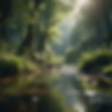 Natural Serenity Nature-inspired wallpaper for iPhone 12