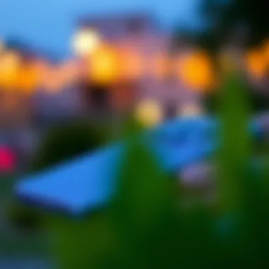 Infographic on optimizing iPhone 11 storage