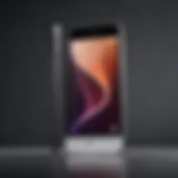 Overview of iPhone SE screen dimensions