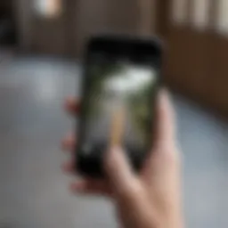 Illustration of the Find My iPhone interface displaying the ping option